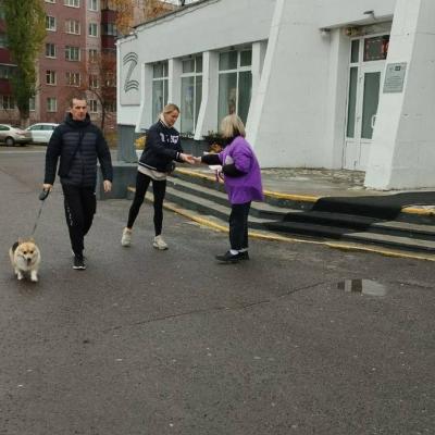 Акция «Российский триколор» 1 ноября